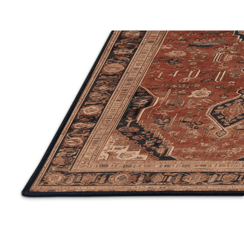 Machine Washable Persian Brown Area Rug, Rectangle 5' x 7'