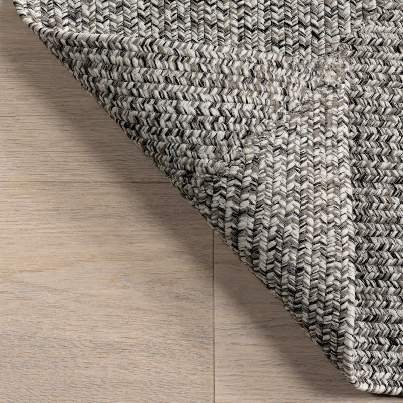Edie Casual Braided Gray/White Indoor/Outdoor Rug, Rectangle 2' x 3', Gray Silver