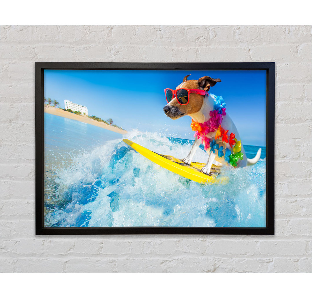 Hund mit Sonnenbrille beim Surfen - Einzelbildrahmen Kunstdrucke auf Leinwand