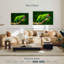 Ara militaire-107922821