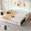 Upholstered with Trundle-475169864