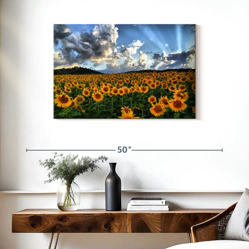 Champ de tournesols toscan Alvord, H 24 po x l 36 po