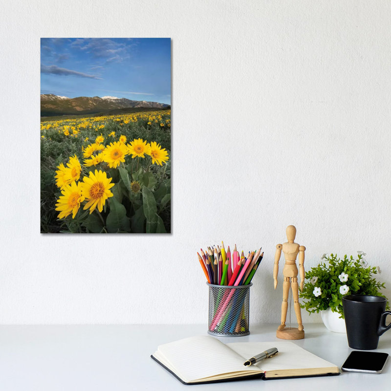 Methow Valley Wildflowers III by Alan Majchrowicz - Wrapped Canvas Print, 30.48cm H x 20.32cm W x 1.91cm D