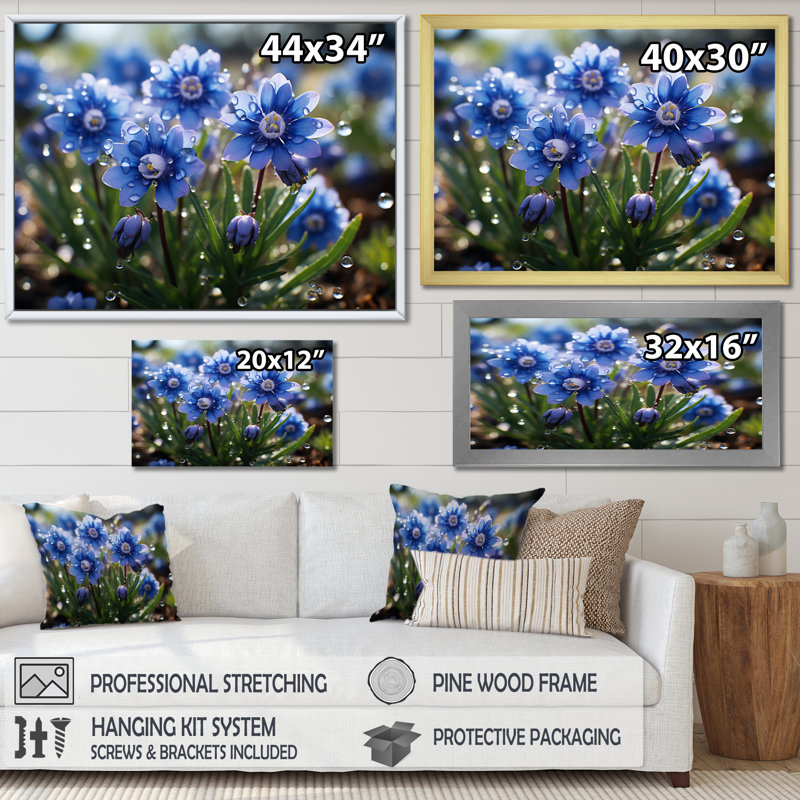 " Blue Bonnets Field Photo VI ", Gold Floater Framed, 12" H x 20" W x 1" D