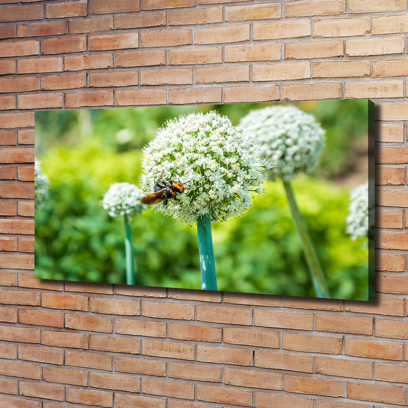 Blooming Garlic - Wrapped Canvas Print