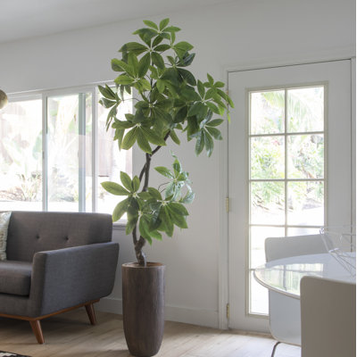 Panama 46.25'' Faux Pachira Aquat Tree in Planter