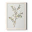 Toile simple encadrée Premium Sprig II - prête à être accrochée-657071378-657071377