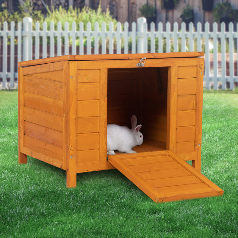 Cage à lapin en bois avec échelle pour petits animaux