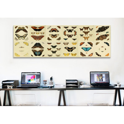 Cramer And Stoll " Butterflies 12 Piece Plate Collection "