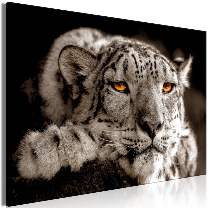 No Frame Print on Canvas, 60cm H x 90cm W