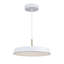 Luminaire suspendu 1 lumière Relyea - noir 12 po-1380154842-1380154840