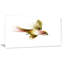 « nice flight of green oiseau », peinture-34270599-34270885