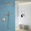 Pomme de douche double standard / double-66207545