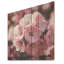 Cerisier rose Elegance In Bloom III - Fleur de cerisier sur bois-123501670