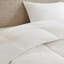 Édredon surdimensionné en duvet 100% coton