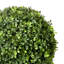 Artificial Boxwood Topiary-278216301
