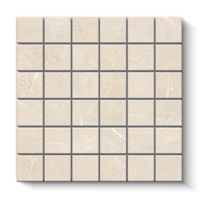 Newstone Matte 2x2 Mosaic Square Wall & Floor Tile (12x12 Sheet)