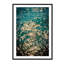 Sea Stars - Picture Frame Photograph on Paper -74856315-87886856