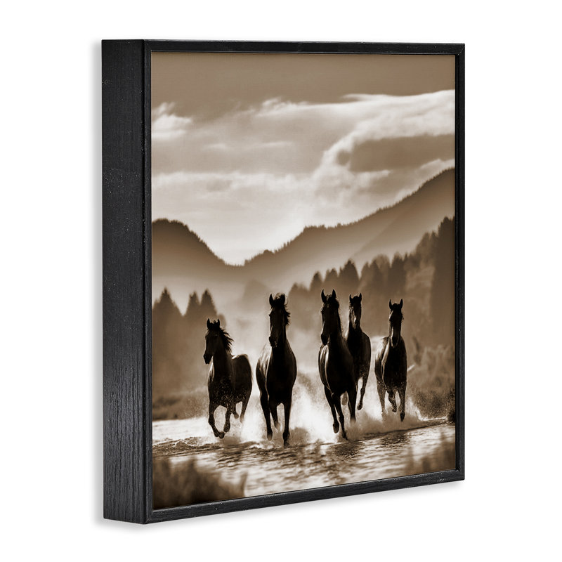 «Splashing Canyon Stallions», art de la giclée encadrée par Noah Bay, H 17 po x l 17 po, Giclée encadrée noir minuit