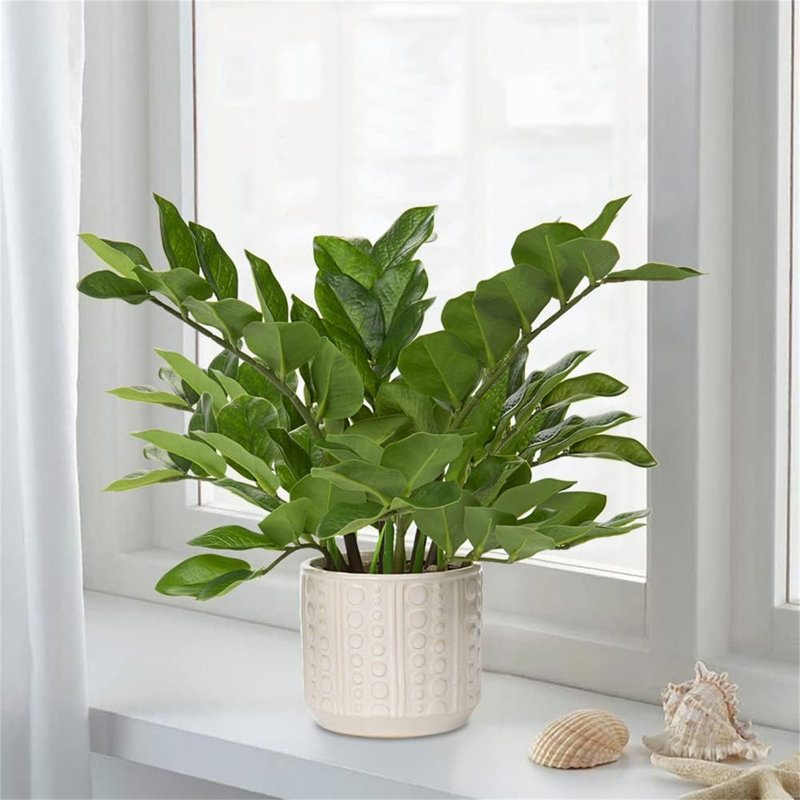 17 Inch Ceramic Pots Loaded Indoor Artificial ZZ Plants, designed for home table decor and bedroom aesthetics, packaged in a single piece to add greenery to your home.