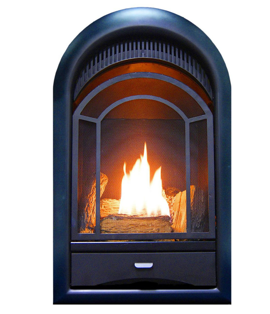 ProCom 16'' W Ventless Fireplace Insert | Wayfair