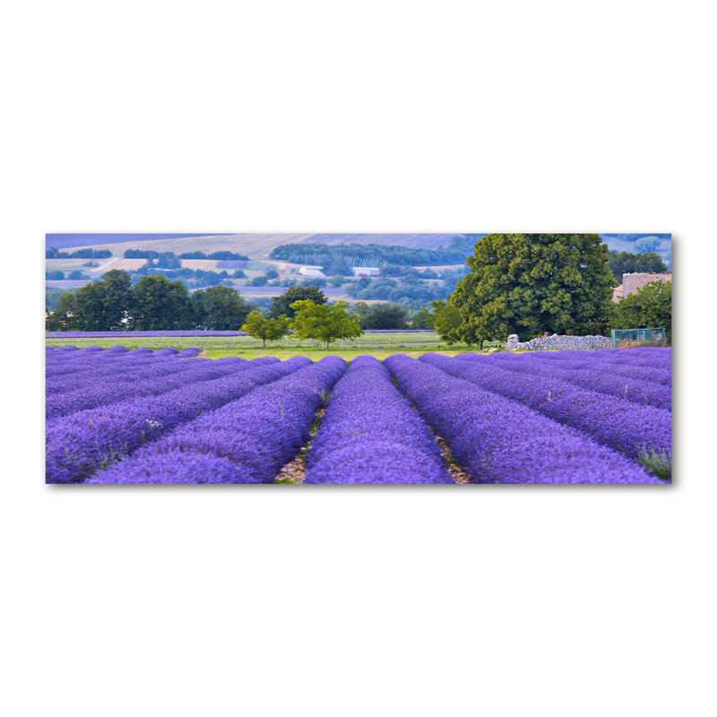 Lavender Field - Wrapped Canvas Print
