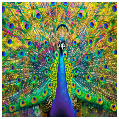 Vibrant Peacock Feathers Duvet Covers