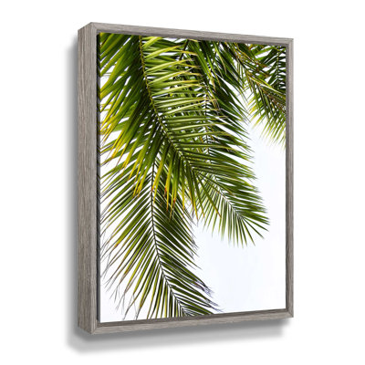 Palm Leaves by Lexie Greer Graphic Art on Canvas