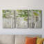 " Evergreen Forest " 3 - Pieces-930771606