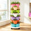 Ensemble de jardinières verticales Strawberry-131280698
