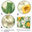 «Yellow White Natures Impression Daffodil I» sur toile-1024221979-1024221976