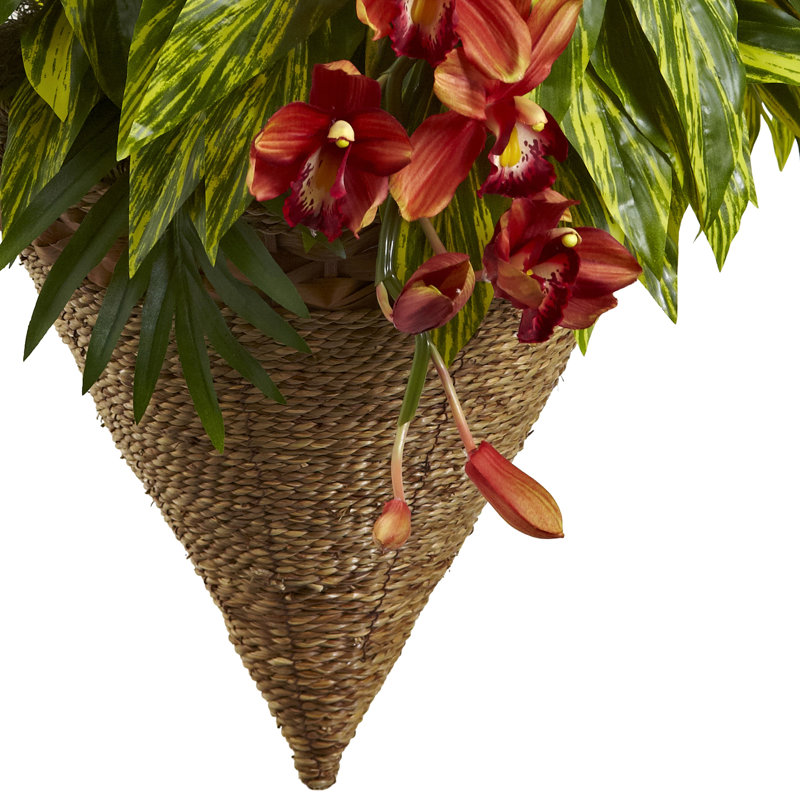 Panier suspendu tropical et cymbidium