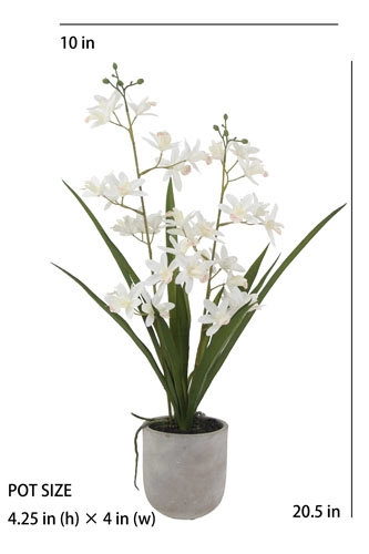 20.5" Artificial White Orchid in Vanda Pot