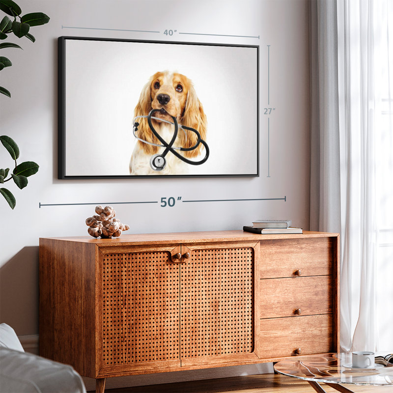 Animal «Doctor Dog», H 27 po x l 40 po