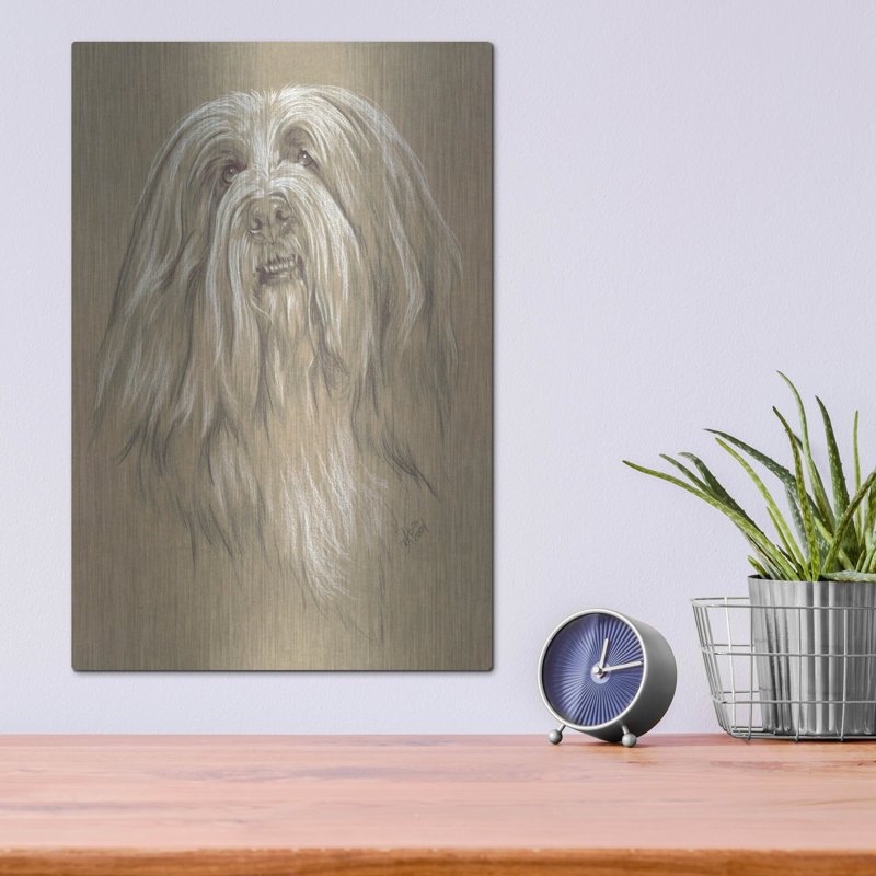 "Bearied Collie" par Barbara Keith, H 16 po x l 12 po