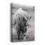 Gretna Green Highland - Photographie sur toile tendue-1898991784