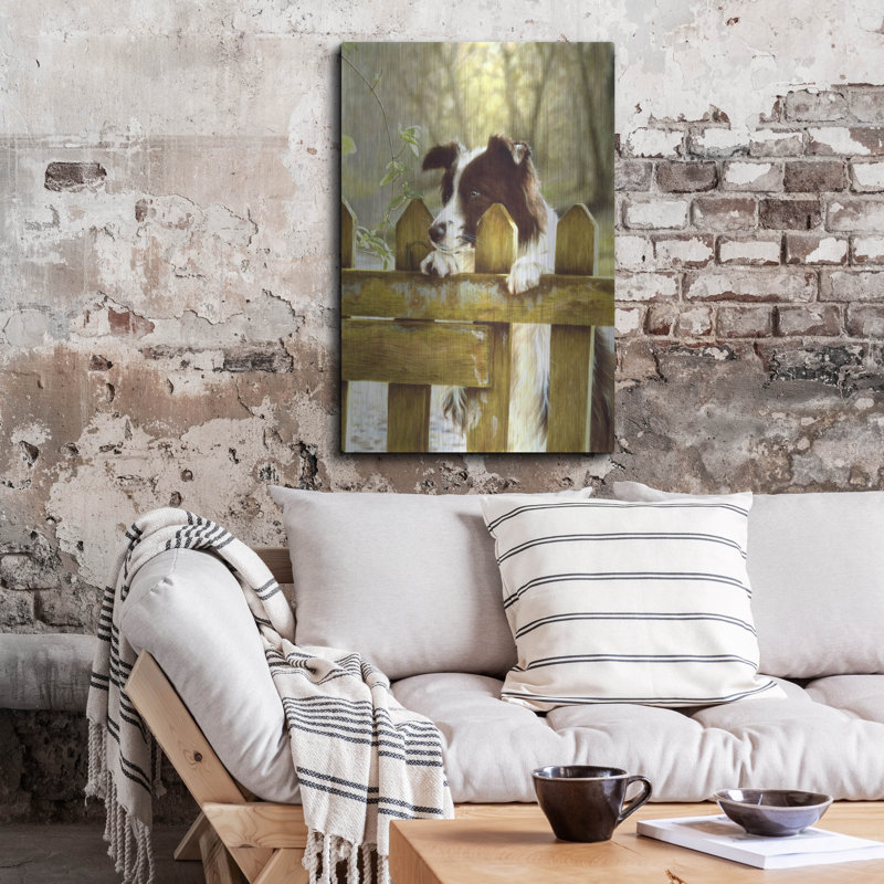 " Border Collie Watching Cows " by John Silver