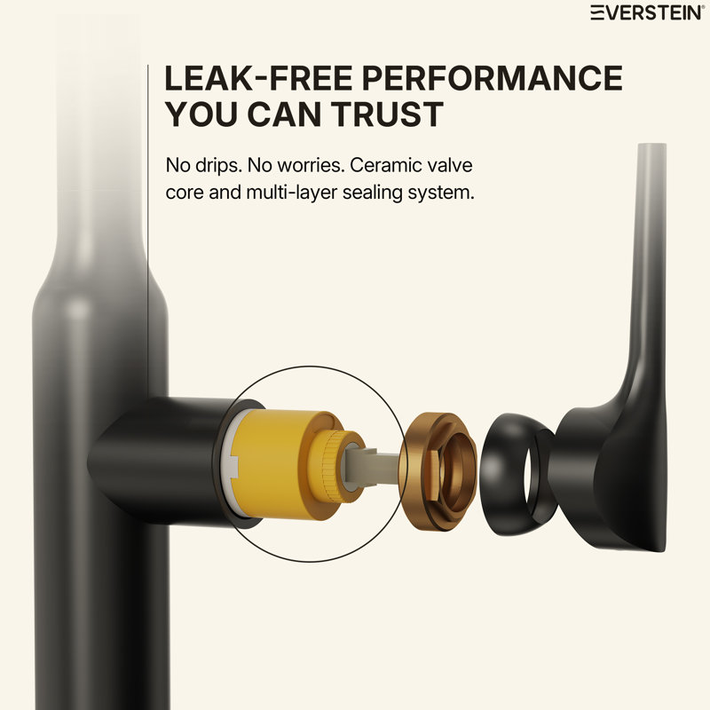 Dual Function Single Handle Pull Down Kitchen Faucet, Matte Black