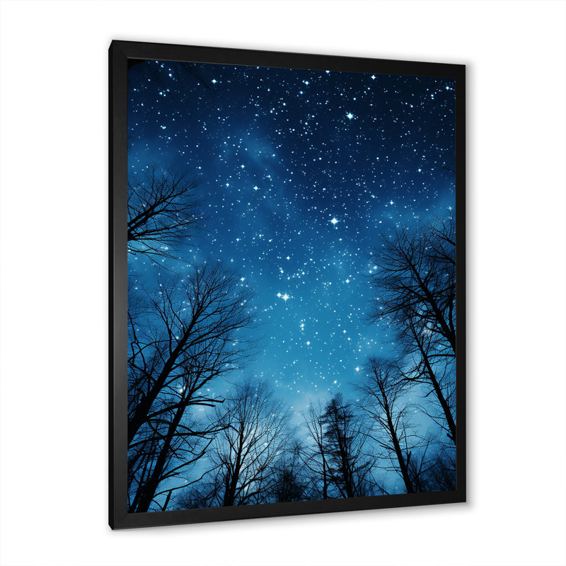 Blue Starry night sky - Sky Wall Art, 32" H x 16" W x 1" D, Black Single Picture Framed