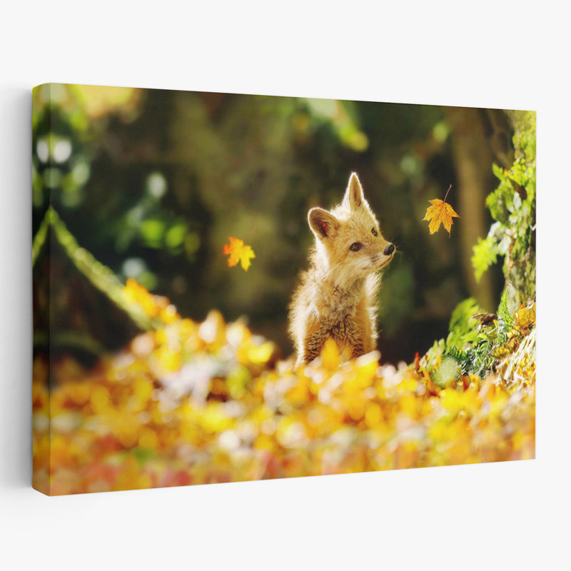 Falling Leaves Fox - photographie animaux, nature, faune, automne, H 24 po x l 36 po