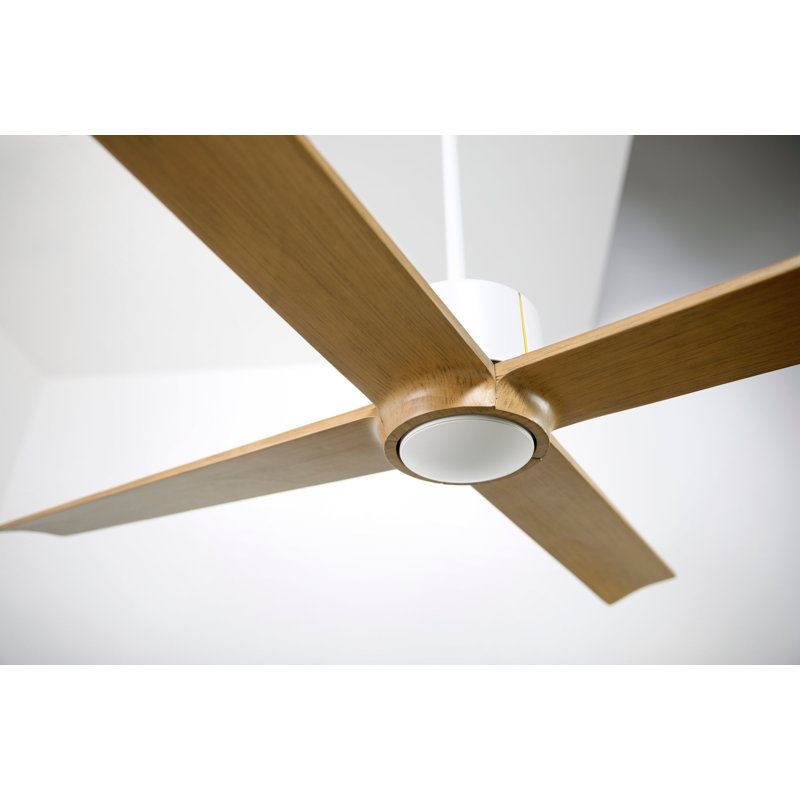 Nouveau Downrod Ceiling Fan, Matte White/Brass, Wall/Remote Combo Controls, Maple