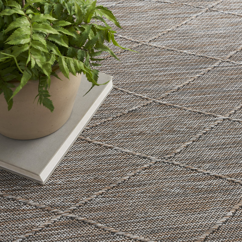 Friesland Machine Washable Indoor/Outdoor Area Rug, Rectangle 5' x 7'