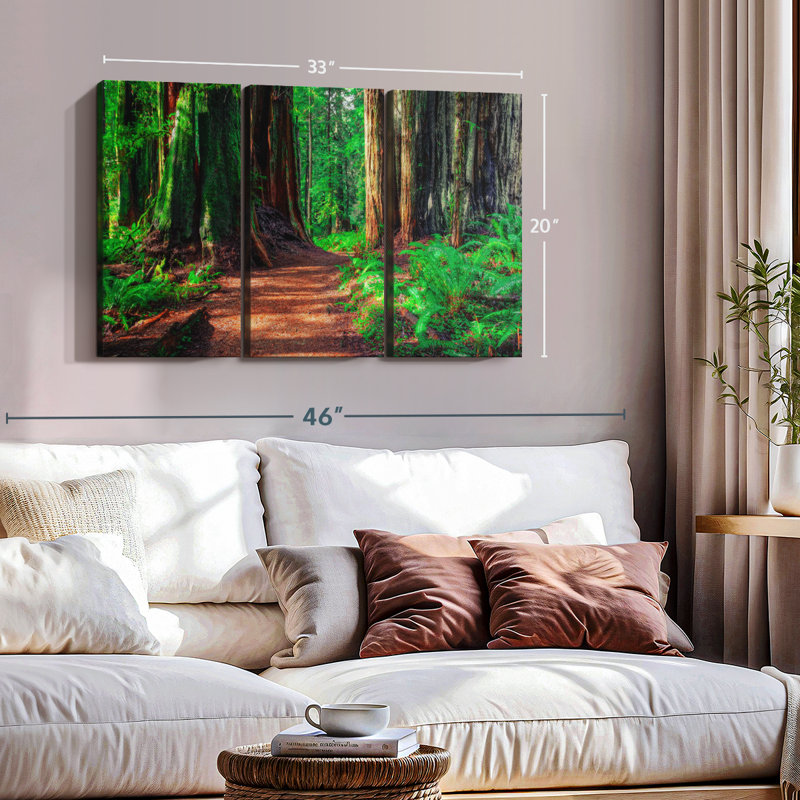 «Redwood Forest Path» sur toile, H 20 po x l 33 po x P 1,25 po