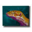 «Bruce The Leopard Gecko» par Dawg Painter-615634126