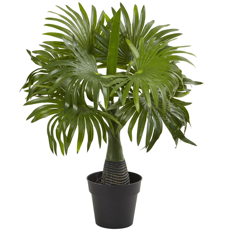Plante de palmier artificielle 12,25" dans une doublure en pot
