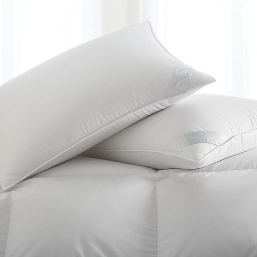 Salzburg Down Pillow Firm, Standard