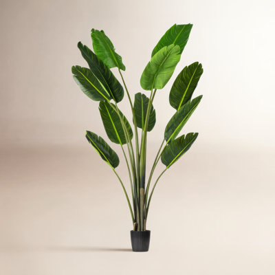 Jorah 84" Tree with Base Included