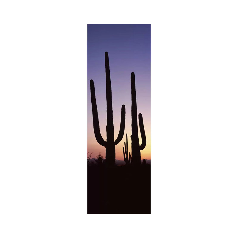 Silhouette Of Saguaro Cacti (Carnegiea Gigantea) On A Landscape, Saguaro National Park - Wrapped Canvas Panoramic Print