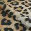 Tapis intérieur / extérieur doré à imprimé léopard Ehren-293817151