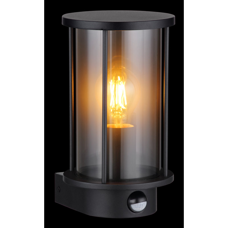 Lataura 25.2cm H Outdoor Wall Lantern